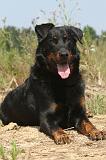 BEAUCERON 021